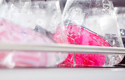 OEKO-TEX® STANDARD 100 - Have your textiles tested for harmful substances